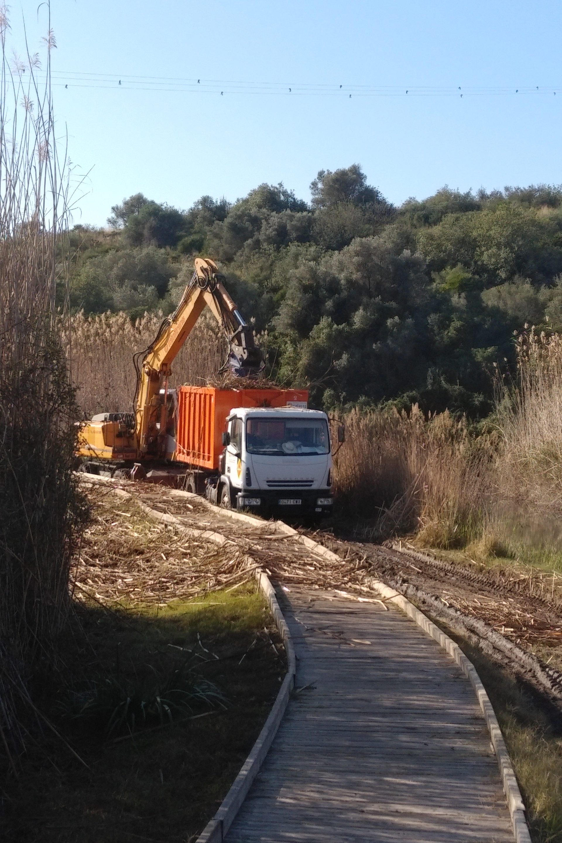 Camión y excavadora trabajando juntos